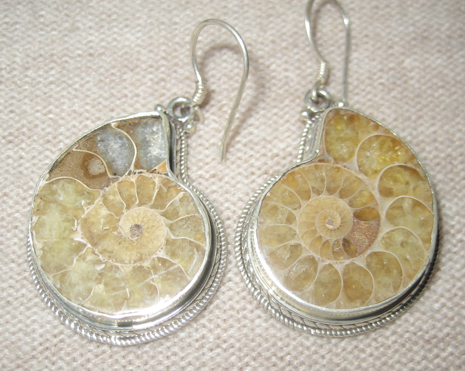 Natural Quartz Ammonite Sterling Silver Earrings